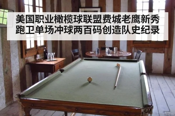 美国职业橄榄球联盟费城老鹰新秀跑卫单场冲球两百码创造队史纪录